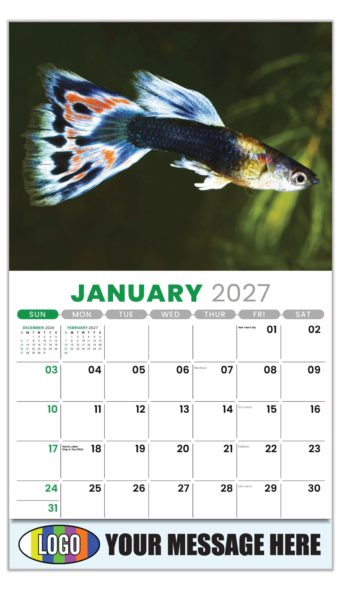 2027 Pets Business Promotional Calendar
