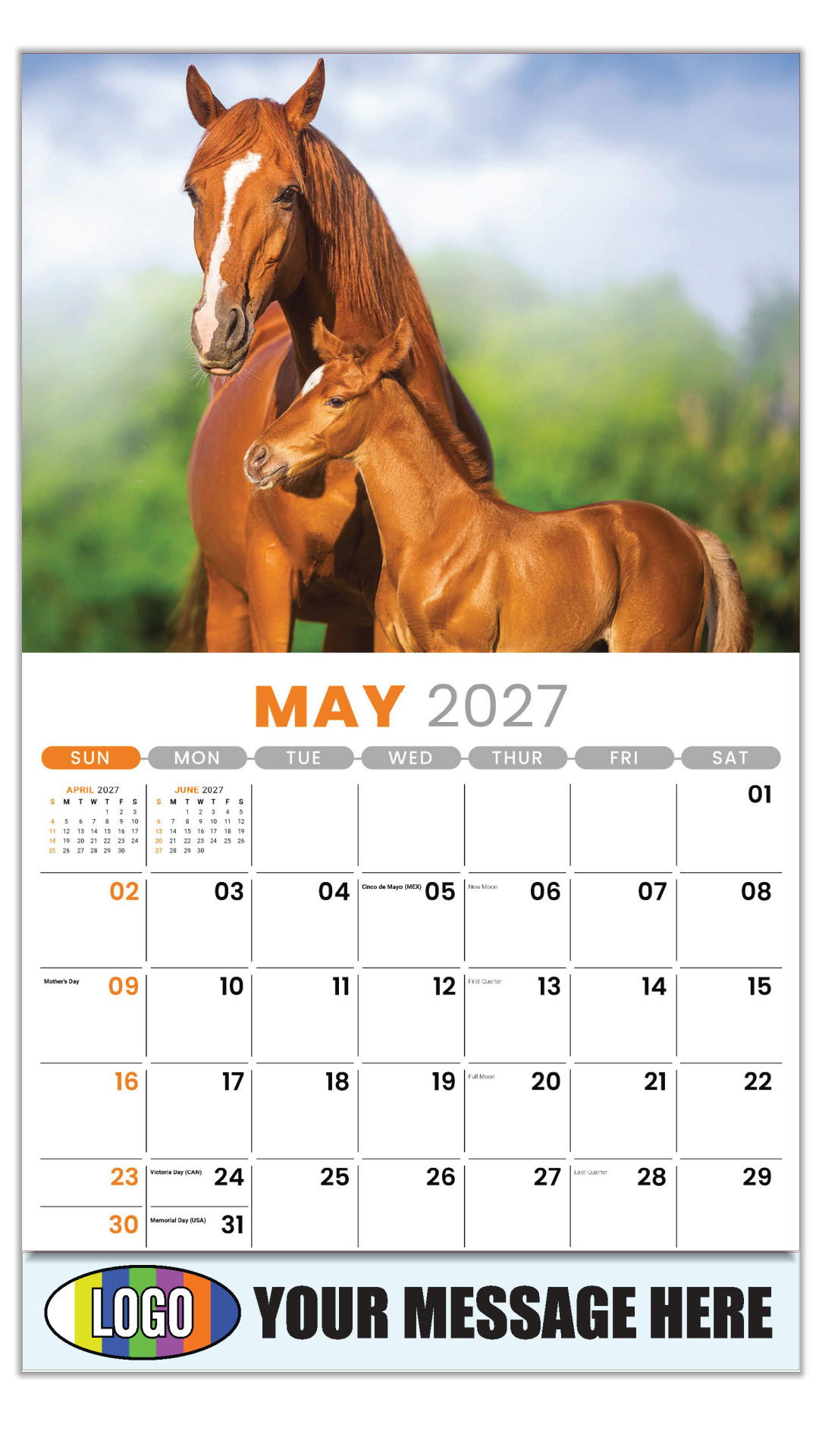 2027 Pets Business Promotional Calendar