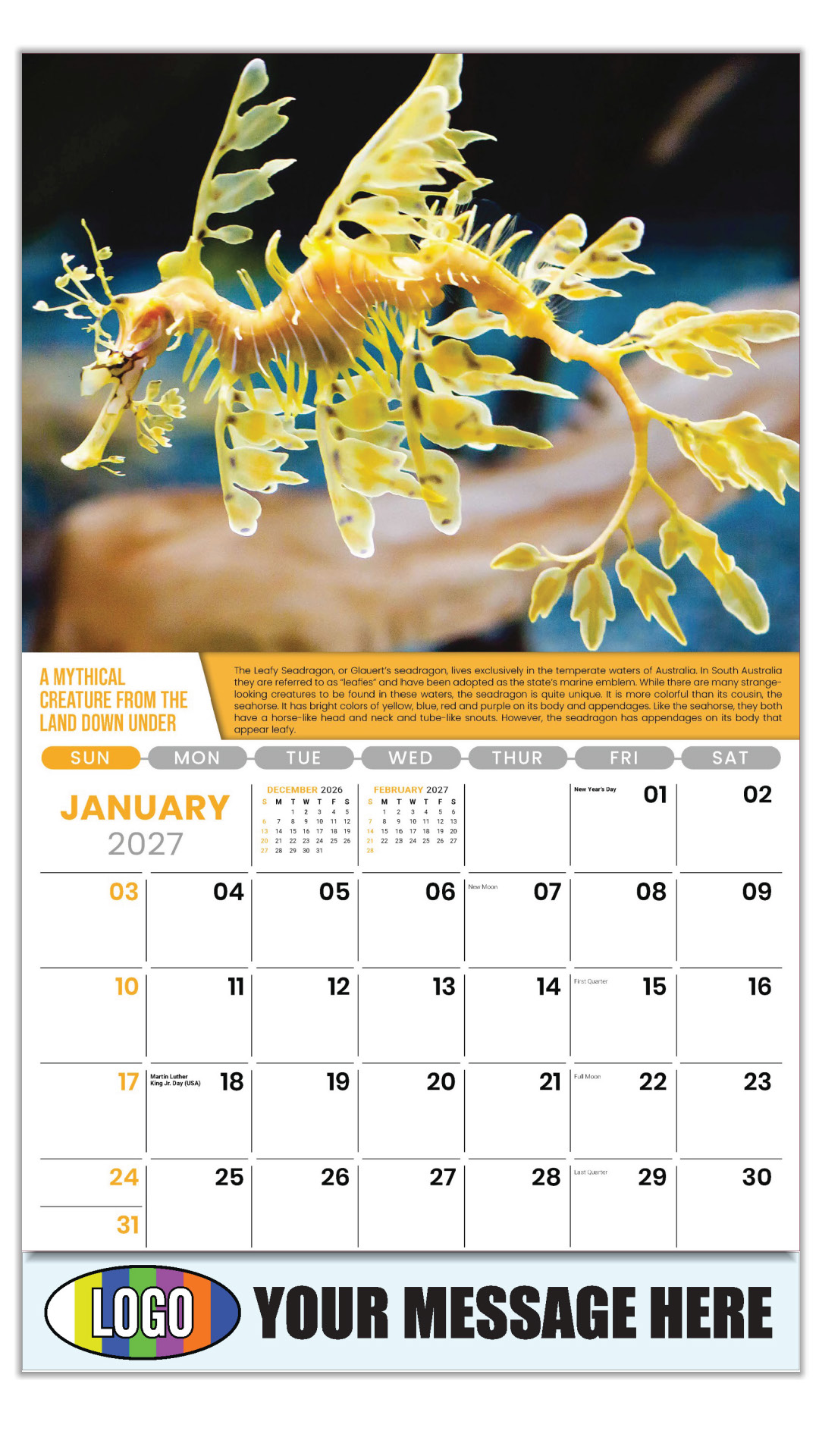 2027 Planet Earth Business Promotional Calendar