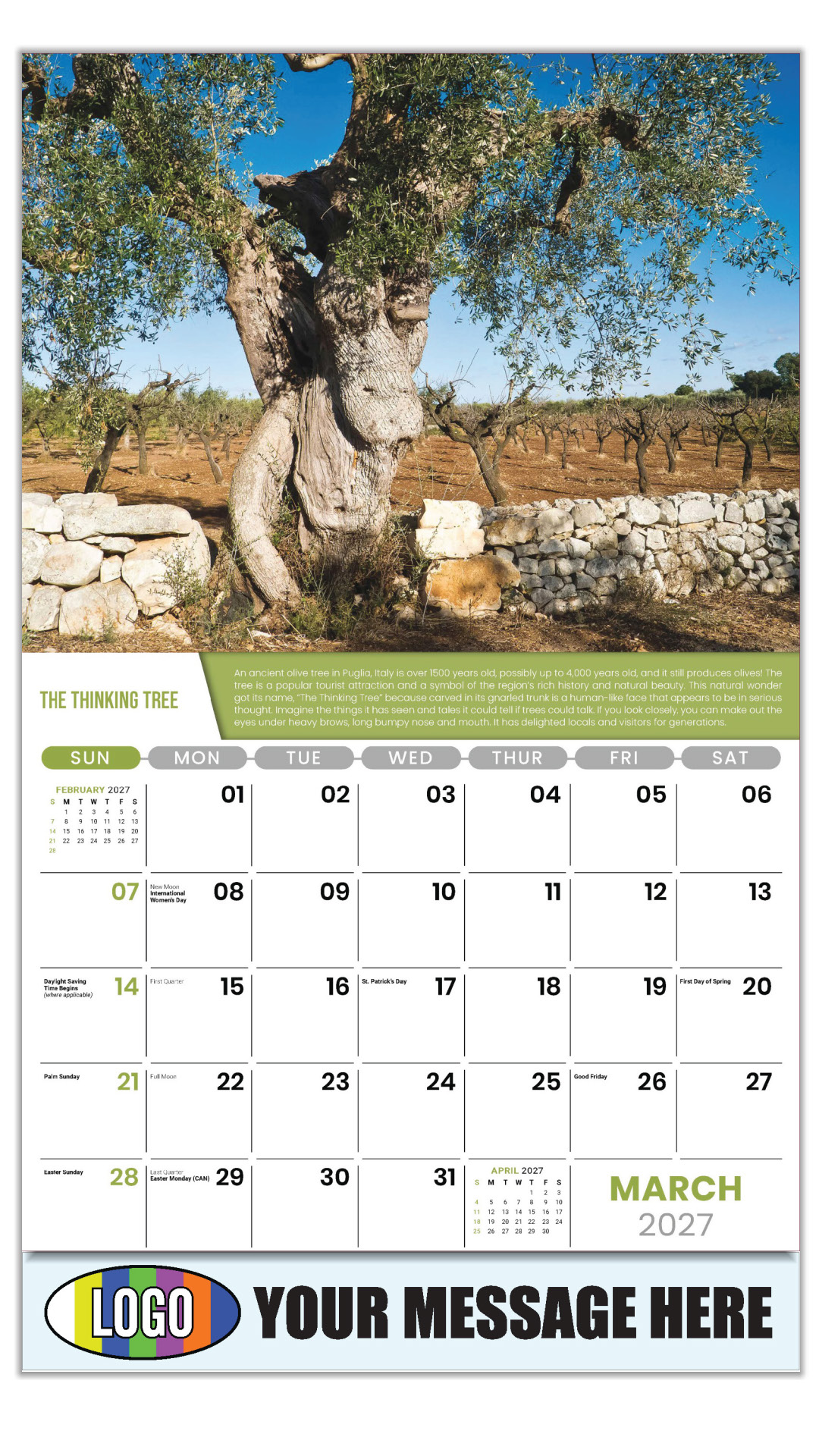 2027 Planet Earth Business Promotional Calendar