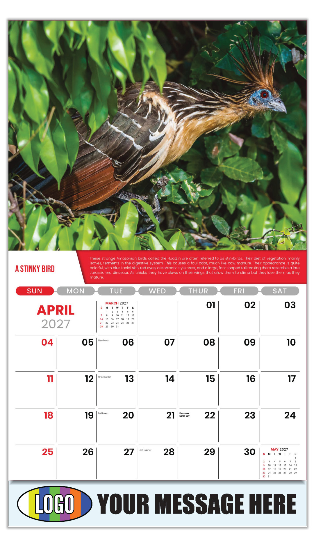 2027 Planet Earth Business Promotional Calendar