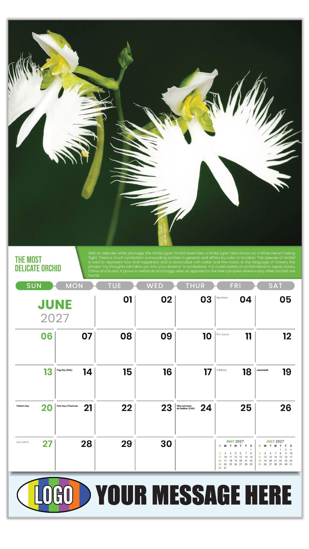 2027 Planet Earth Business Promotional Calendar