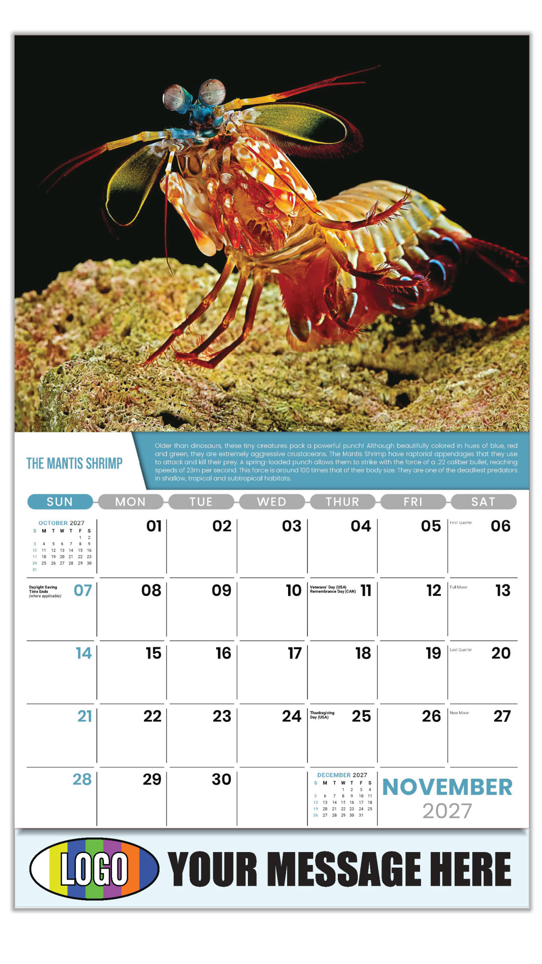 2027 Planet Earth Business Promotional Calendar