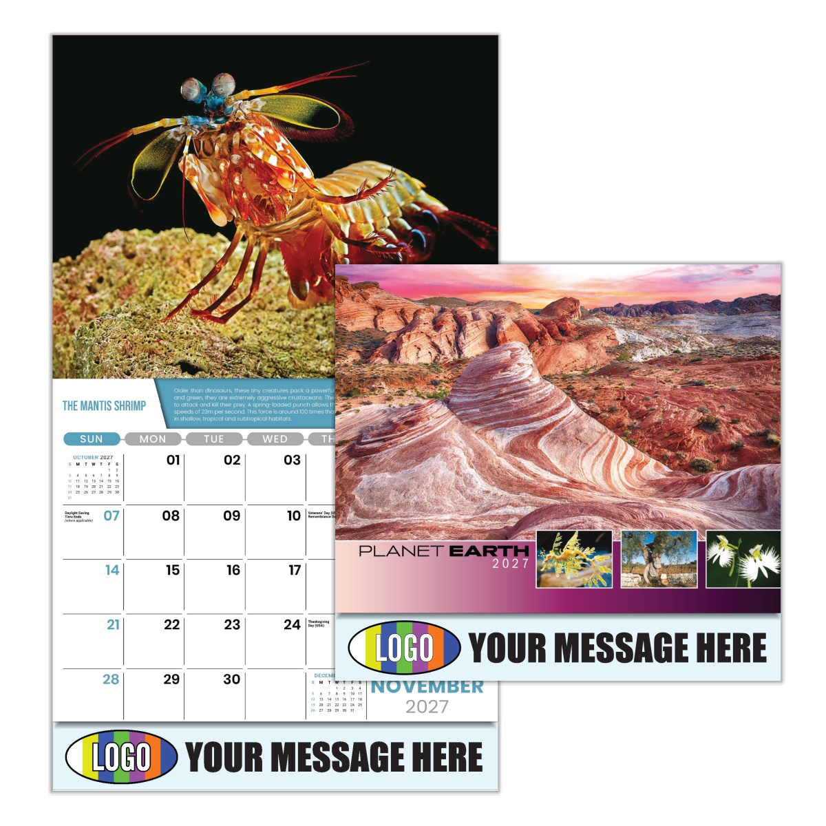 2027 Planet Earth Business Promotional Calendar