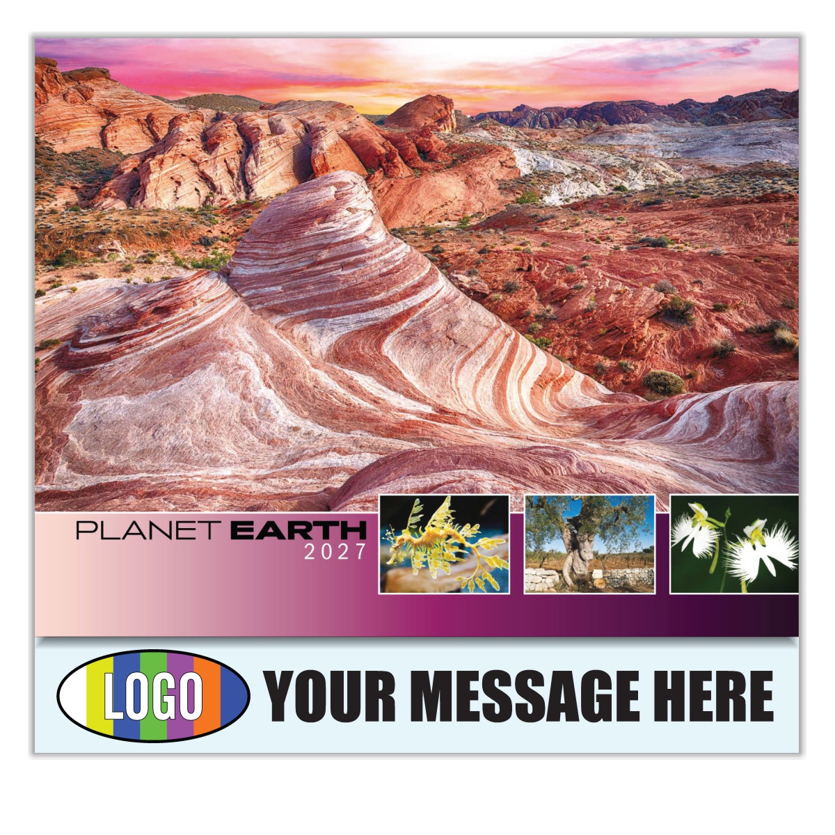 2027 Planet Earth Business Promotional Calendar
