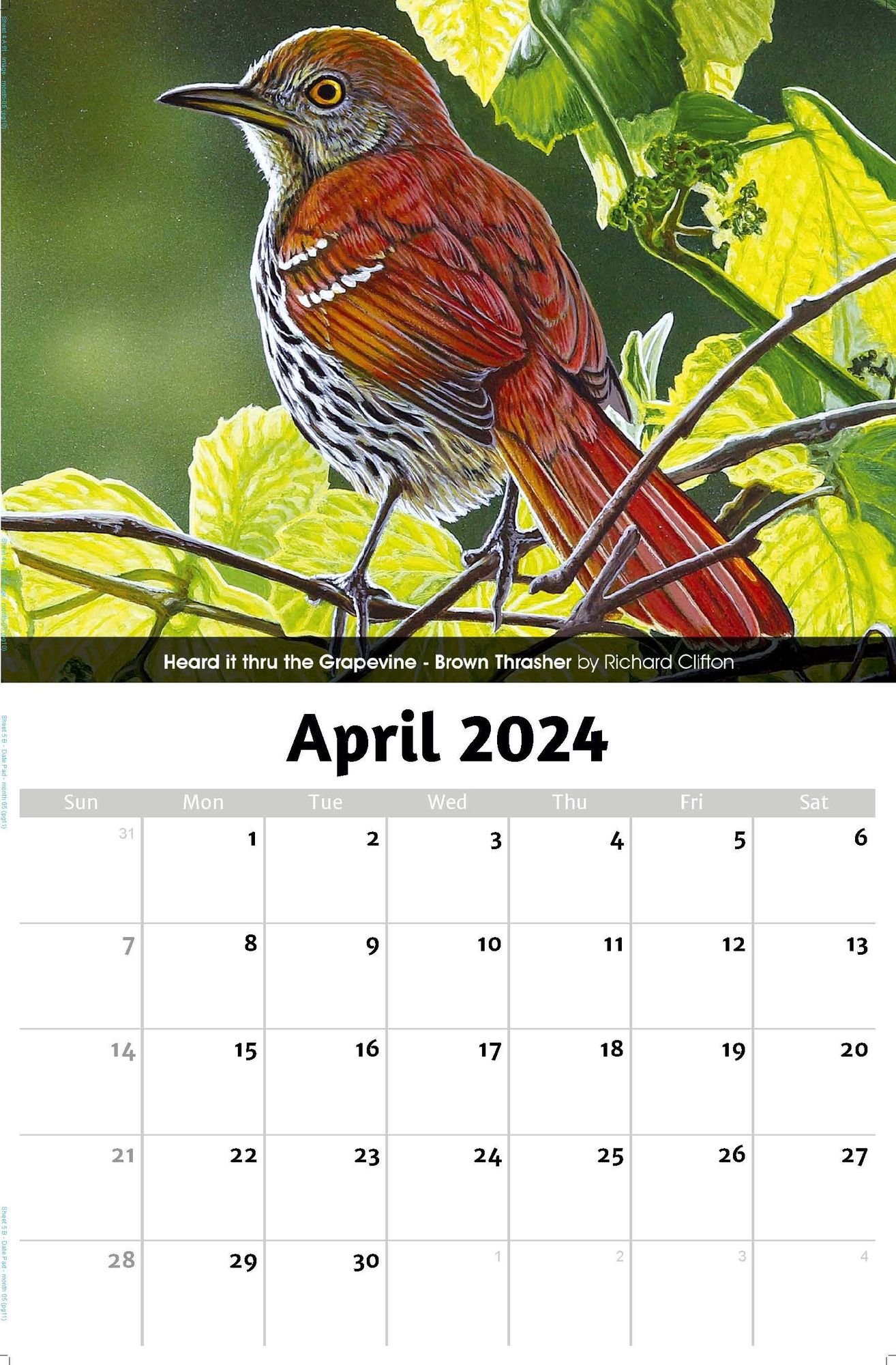 2024 Wall Calendar Garden Birds