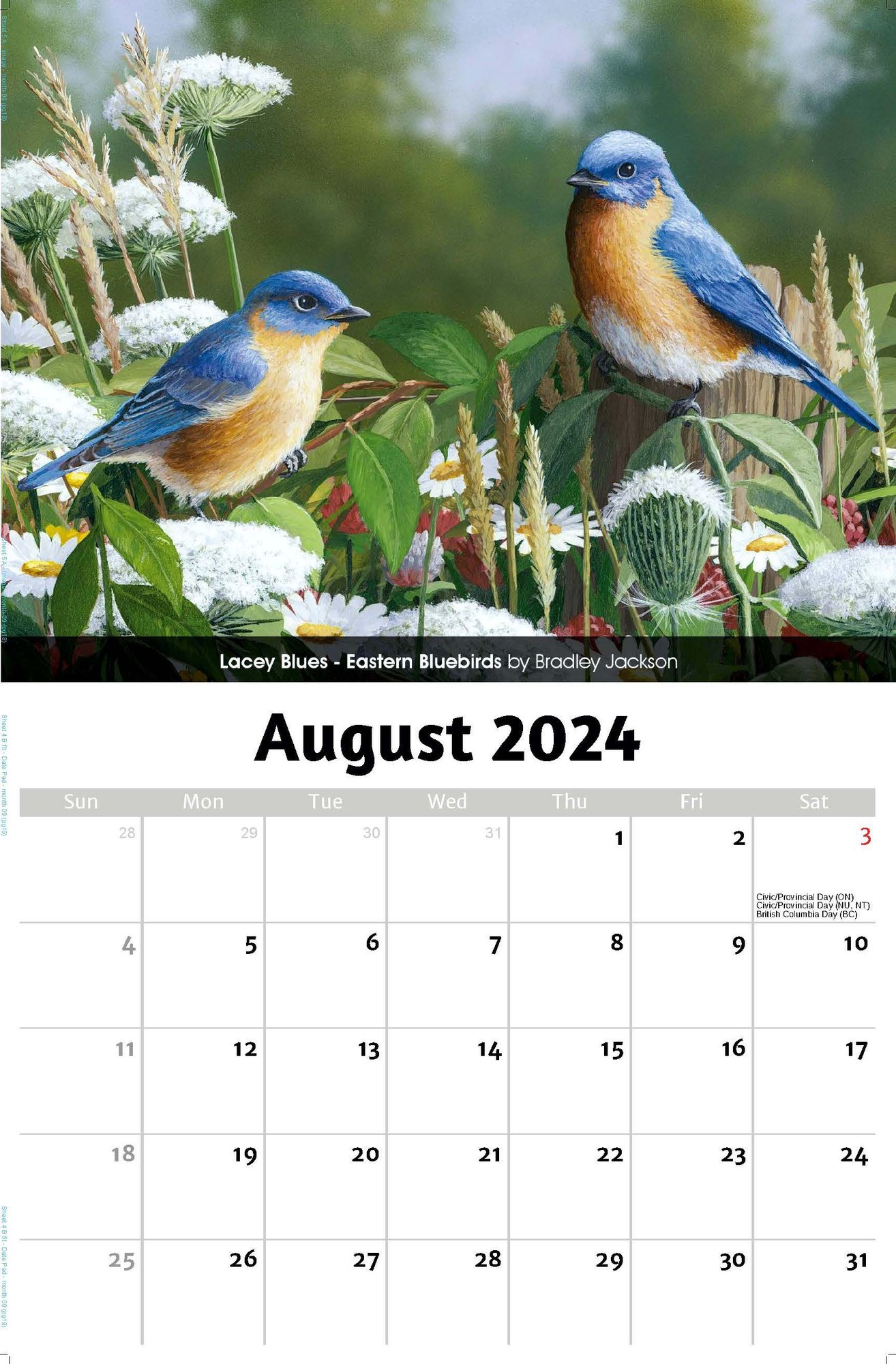2024 Wall Calendar | Garden Birds