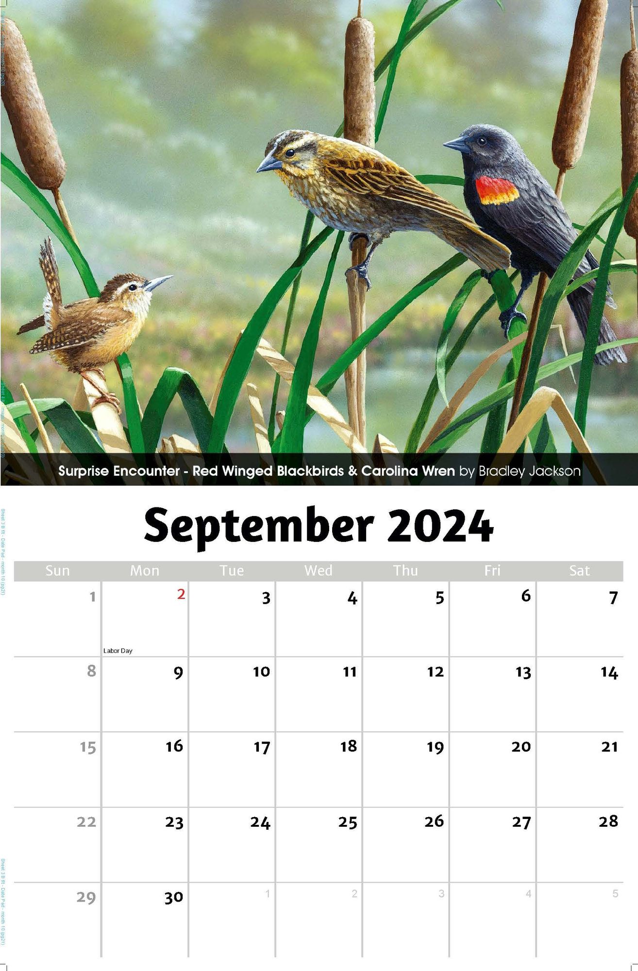 2024 Wall Calendar Garden Birds