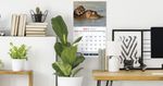 2027 International Wildlife Business Promotional Calendar