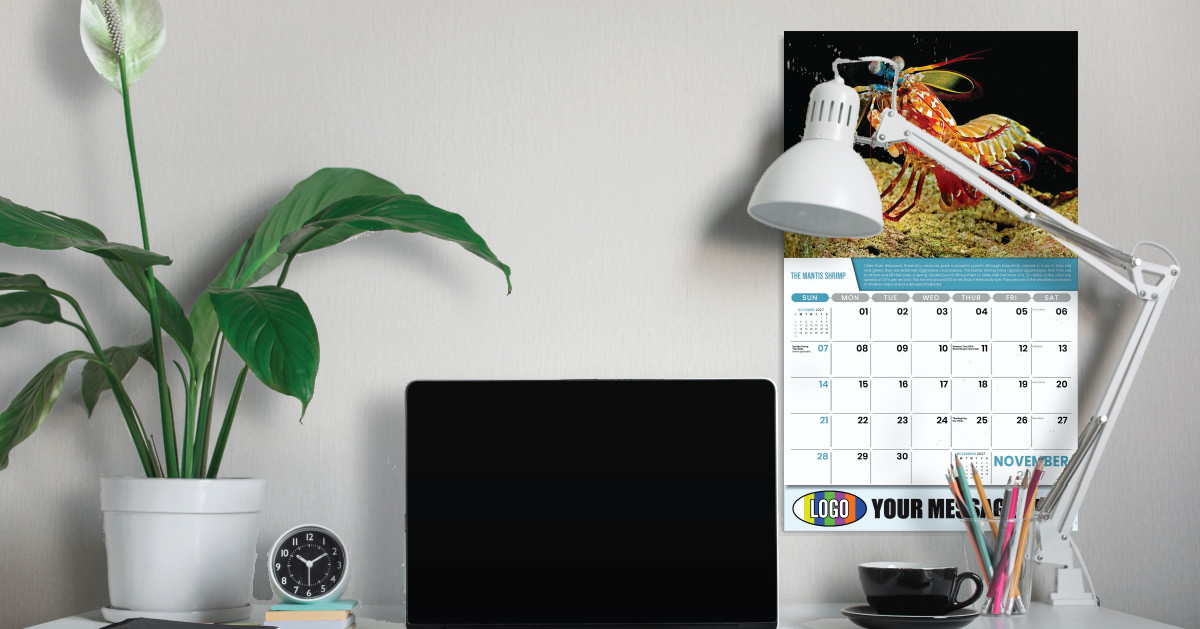 2027 Planet Earth Business Promotional Calendar